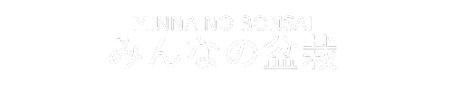 みんなの盆栽